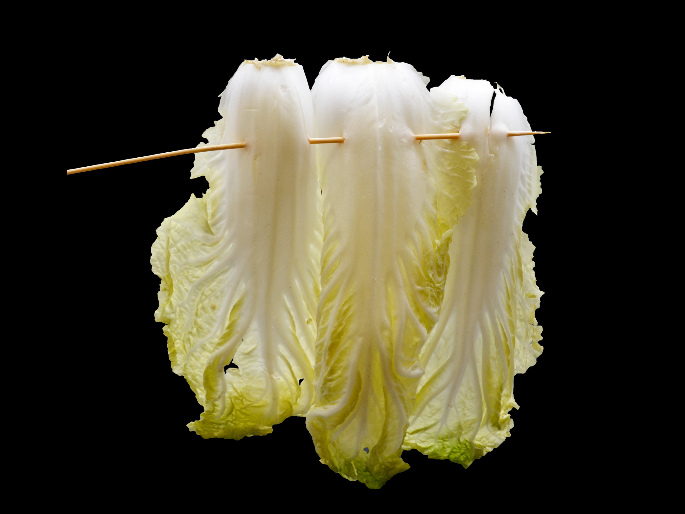 陈嬷嬷大白菜